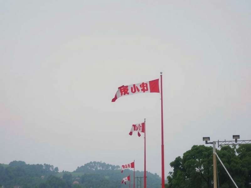 陶瓷艺术品展示